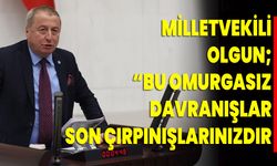 Milletvekili Olgun; “Bu Omurgasız Davranışlar Son Çırpınışlarınızdır”