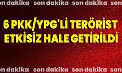 6 PKK/YPG'li terörist etkisiz hale getirildi