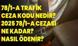 78/1-A Trafik Ceza Kodu Nedir? 2025 78/1-A Cezası Ne Kadar? Nasıl Ödenir?