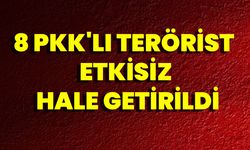 8 PKK'lı terörist etkisiz hale getirildi