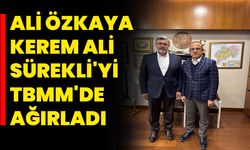 Ali Özkaya, Kerem Ali Sürekli'yi TBMM’de Ağırladı