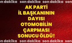 AK Parti İl Başkanının Dayısı Otomobilin Çarpması Sonucu Öldü!