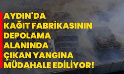 Aydın'da kağıt fabrikasının depolama alanında çıkan yangına müdahale ediliyor!