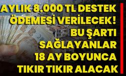 Aylık 8.000 TL destek ödemesi verilecek! Bu şartı sağlayanlar 18 Ay boyunca tıkır tıkır alacak