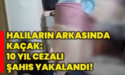 Halıların arkasında kaçak: 10 yıl cezalı şahıs yakalandı!