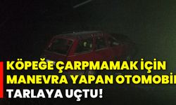 Köpeğe çarpmamak için manevra yapan otomobil tarlaya uçtu!