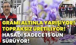 Gramı altınla yarışıyor! Topraksız üretiliyor! Hasadı sadece 15 gün sürüyor!