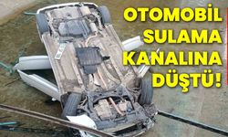 Otomobil sulama kanalına düştü!