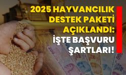 2025 Hayvancılık destek paketi açıklandı: İşte başvuru şartları!