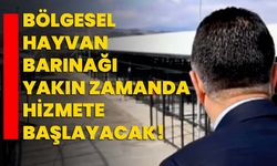 Bölgesel hayvan barınağı yakın zamanda hizmete başlayacak!