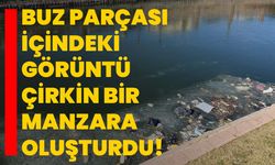 Buz parçası içindeki görüntü çirkin bir manzara oluşturdu!