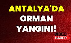 Antalya’da Orman Yangını!