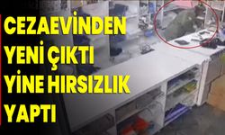 CEZAEVİNDEN YENİ ÇIKTI, YİNE HIRSIZLIK YAPTI