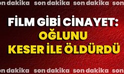 Film Gibi Cinayet: Oğlunu Keser İle Öldürdü