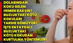 Dolabından Koku Gelen Hemen Baksın! Buzluktaki Kötü Kokuları Tarihe Gömüyor!