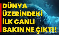 Dünya Üzerindeki İlk Canlı Bakın Ne Çıktı!