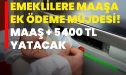 Emeklilere maaşa ek ödeme müjdesi! Maaş + 5400 TL yatacak