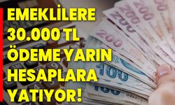 Emeklilere 30.000 TL ödeme yarın hesaplara yatıyor!