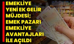 Emekliye Yeni Ek Gelir Müjdesi; Emek Pazarı Emekliye Avantajları İle Açıldı