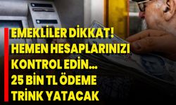 Emekliler Dikkat! Hemen Hesaplarınızı Kontrol Edin… 25 Bin TL Ödeme Trink Yatacak