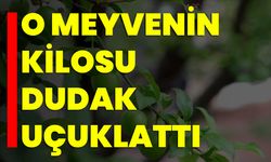 O Meyvenin Kilosu Dudak Uçuklattı