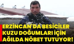 Erzincan'da besiciler kuzu doğumları için ağılda nöbet tutuyor!