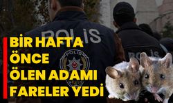 Bir Hafta Önce Ölen Adamı Fareler Yedi