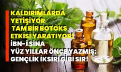 Kaldırımlarda yetişiyor, tam bir botoks etkisi yaratıyor! İbn-i Sina yüz yıllar önce yazmış: