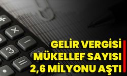 Gelir Vergisi Mükellef Sayısı 2,6 Milyonu Aştı