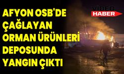 AFYONKARAHİSAR OSB'DE ÇAĞLAYAN ORMAN ÜRÜNLERİ DEPOSUNDA YANGIN ÇIKTI