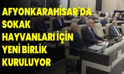 Afyonkarahisar'da Sokak Hayvanları İçin Yeni Birlik Kuruluyor