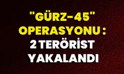 "Gürz-45" Operasyonu: 2 Terörist Yakalandı