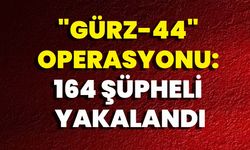 "GÜRZ-44" Operasyonu: 164 Şüpheli Yakalandı