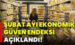 Şubat ayı ekonomik güven endeksi açıklandı!