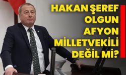 Hakan Şeref Olgun Afyon Milletvekili değil mi?