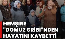 Hemşire "Domuz Gribi"nden Hayatını Kaybetti