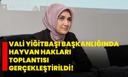 Vali Yiğitbaşı Başkanlığında Hayvan Hakları Toplantısı Gerçekleştirildi!