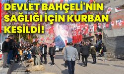 Devlet Bahçeli'nin Sağlığı İçin Kurban Kesildi!