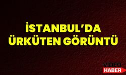 İstanbul’da Ürküten Görüntü