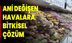 Ani Değişen Havalara Bitkisel Çözüm