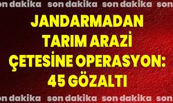 Jandarmadan Tarım Arazi Çetesine Operasyon: 45 Gözaltı