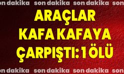 Araçlar kafa kafaya çarpıştı: 1 ölü