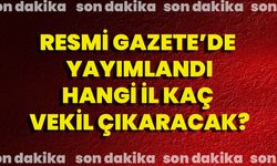 Resmi Gazete'de Yayımlandı Hangi İl Kaç Vekil Çıkaracak?