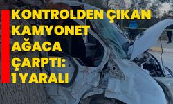 Denizli’de Kontrolden Çıkan Kamyonet Ağaca Çarptı: 1 Yaralı