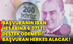 Başvuranın Iban hesabına 6.077 tl destek ödemesi! Başvuran herkes alacak!