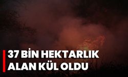 37 Bin Hektarlık Alan Kül Oldu