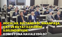 Hocalar, Sultandağı, Sinanpaşa, Çay Ve Bayat İlçelerini ilgilendiriyor: Komisyona havale edildi!