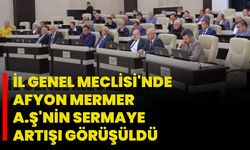 İl Genel Meclisi'nde Afyon Mermer A.Ş'nin Sermaye Artışı Görüşüldü