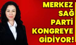 Merkez Sağ Parti kongreye gidiyor!