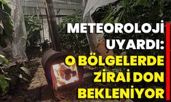 Meteoroloji Uyardı: O Bölgelerde Zirai Don Bekleniyor